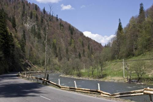 Дорога і річка біля водоспаду Труфанець