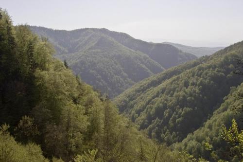 View of the Romanian mountains from Sokolyne Berdo