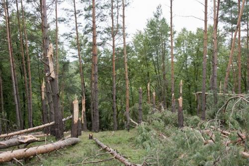 Consequences of the hurricane in July 2012