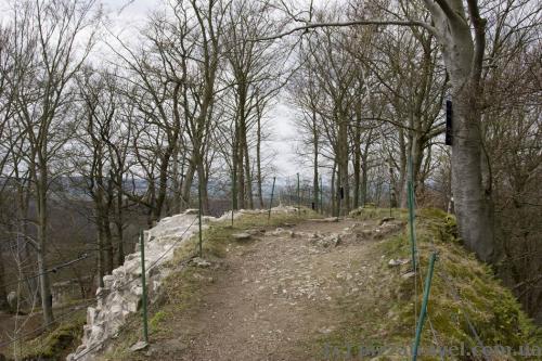 Ruins of the Sharzfeld Fortress 