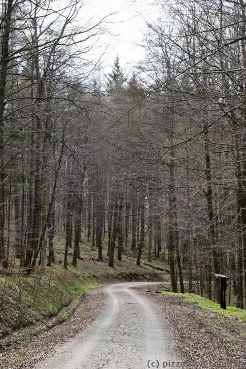 Ecotrail in the Natur Live park in the Harz Mountains