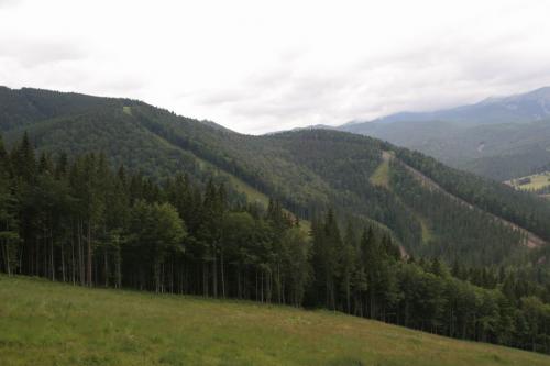 View from one of the mountains