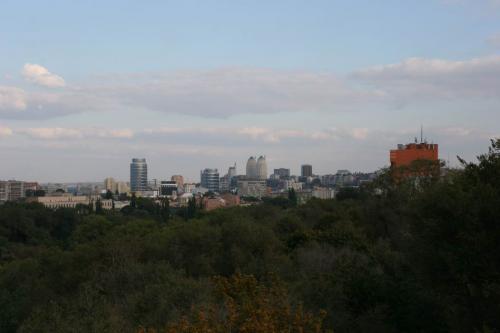 View from the ferris wheel in the central park