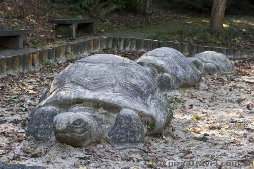 Funny turtles in the park of Goslar