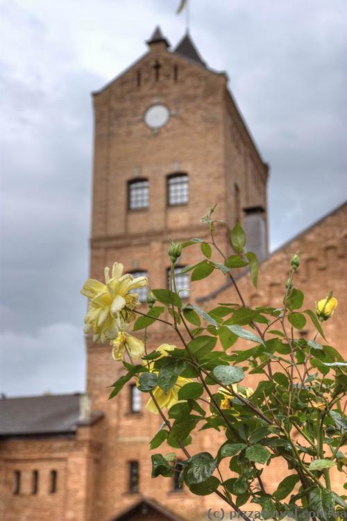 Radomysl Castle