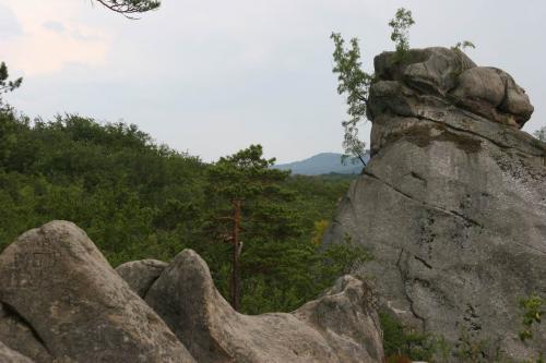 The Ved'ma (Witch) aka Golova Dovbusha (Dovbush's Head) rock