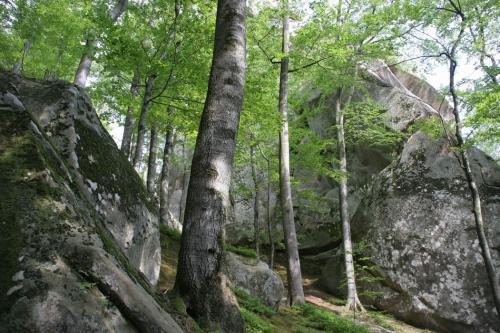 The Rocks of Dovbush