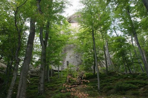 The Rocks of Dovbush