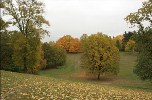 Sofiyivka Arboretum in Uman