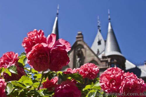 Drachenburg Castle