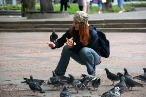 Pigeons on the central square