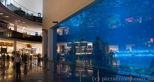 The world's largest aquarium glass in Dubai Mall