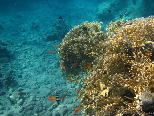 Red Sea near Aqaba