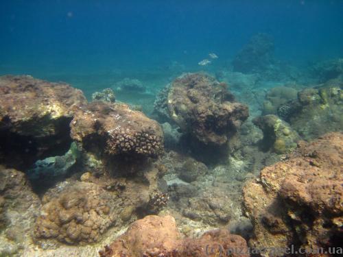 Red Sea near Aqaba