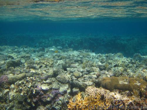 Red Sea near Aqaba