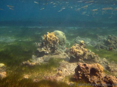 Red Sea near Aqaba