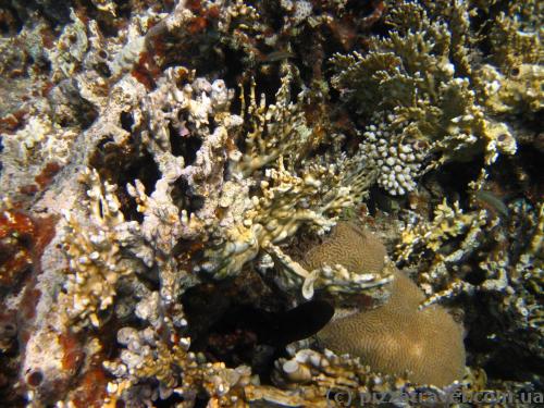 Red Sea near Aqaba