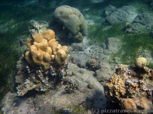 Red Sea near Aqaba