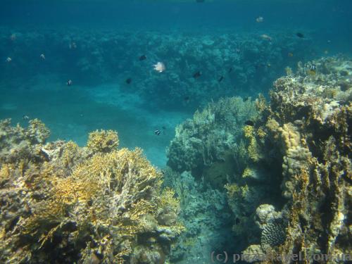 Red Sea near Aqaba