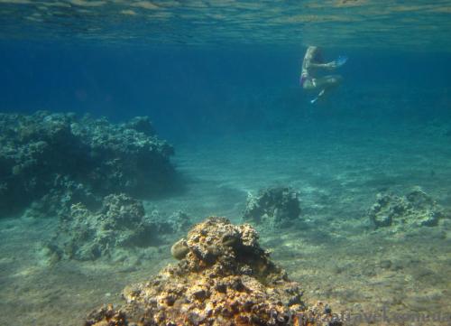 Red Sea near Aqaba