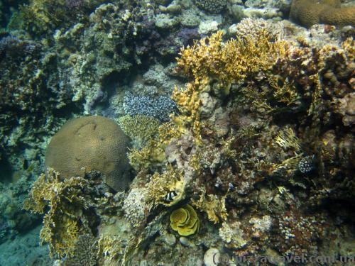 Red Sea near Aqaba