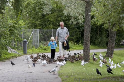 Park near Frederiksborg Castle