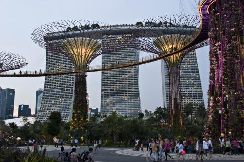 Gardens by the Bay in Singapore