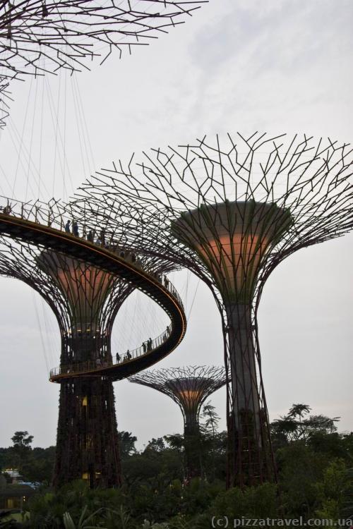 Gardens by the Bay in Singapore