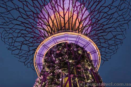 Gardens by the Bay in Singapore