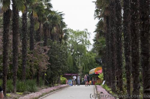 Nikitsky botanical garden