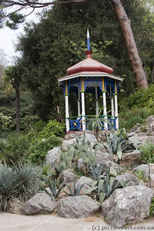 Oriental arbor in the Nikitsky botanical garden