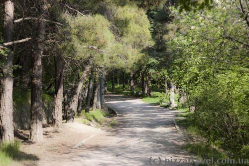 Sunny Trail