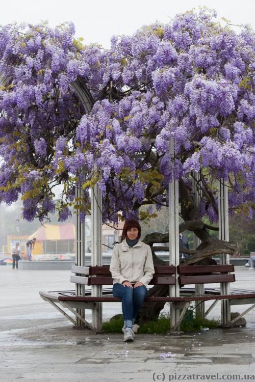 On Yalta waterfront