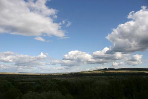 View from the castle gate